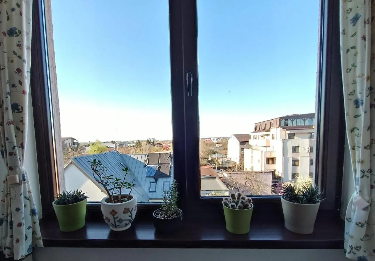 Aria Premium Apartment 부쿠레슈티